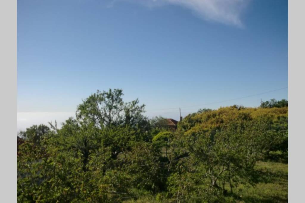 Casa Corea 2 Puntagorda 外观 照片